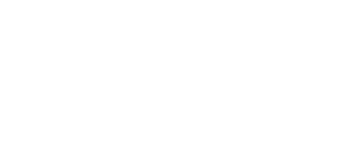 China Veloz